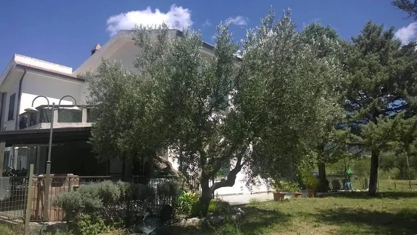 B&B Eolo - Image 1