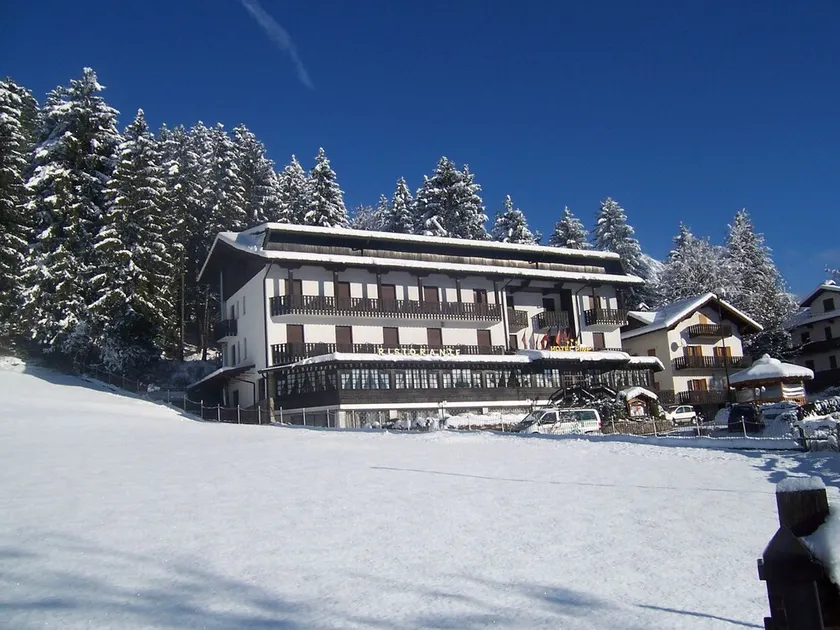 Hotel Pineta - Image 1