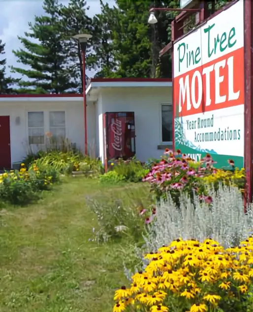Pine Tree Motel - Image 1