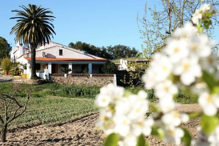 Casa Rural La Zafrilla - Image 1