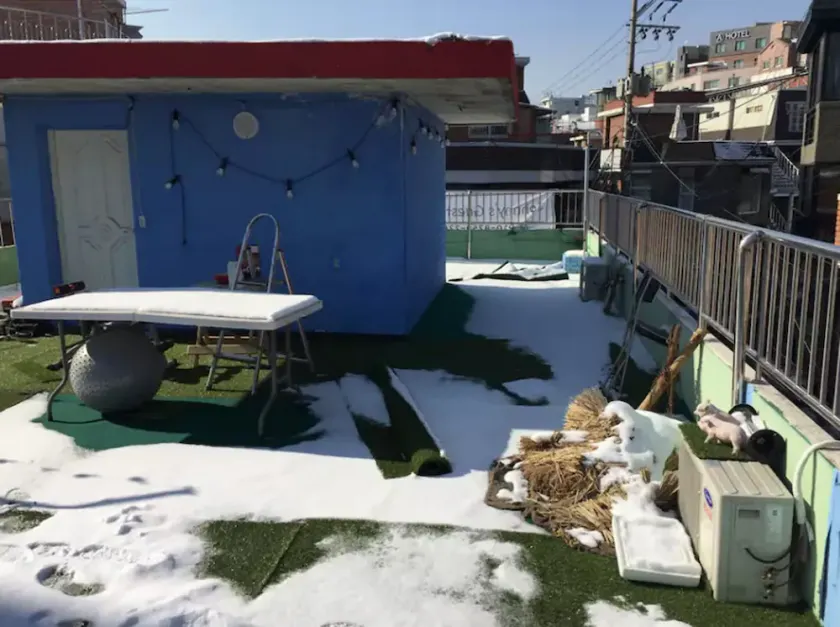 Johnny's Guesthouse - Image 1