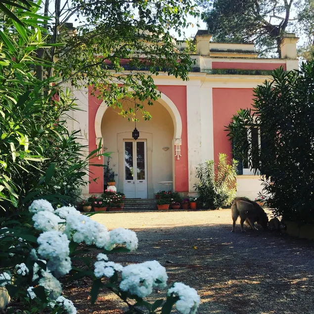 Casina Mozart - Image 1