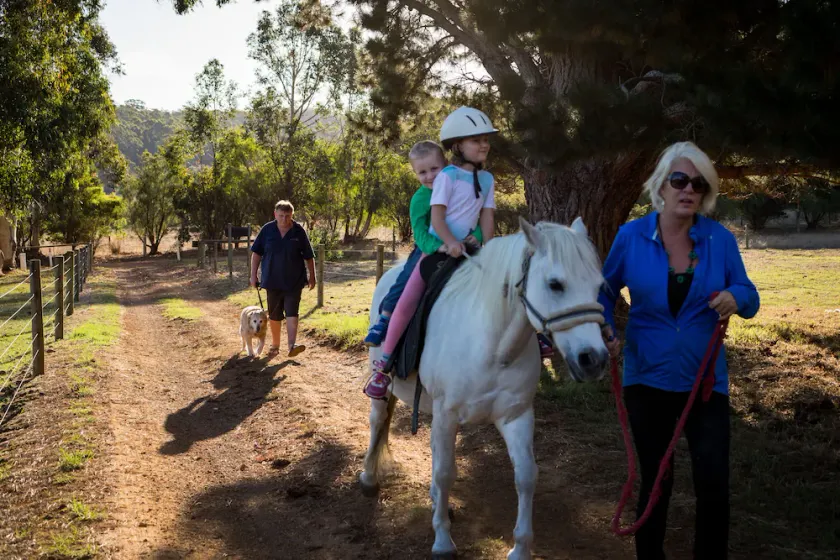 Misty Valley Country Cottages - Image 1