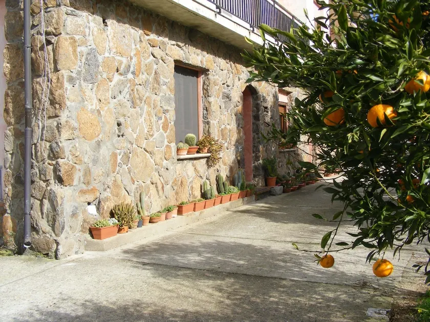 Mare Lindo - Image 1