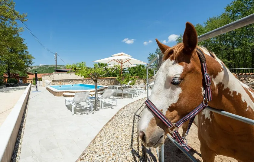 Beautiful Home in Vrlika With Wifi, Outdoor Swimming Pool and Heated Swimming Pool - Image 1