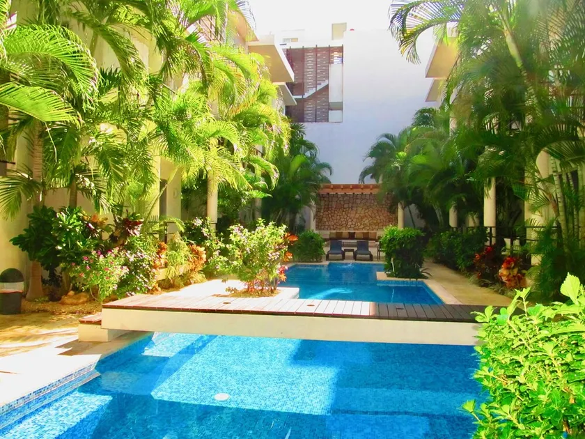 Aqua Terra Palm by Playa Paradise - Image 1