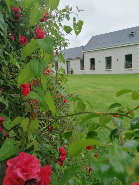 Bed and Breakfast Galway City - Image 1