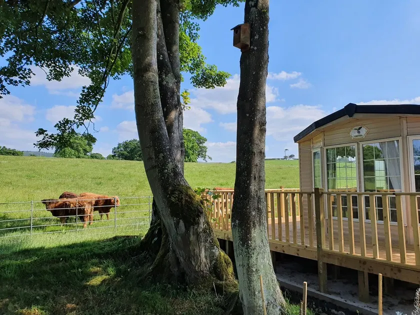 Gaerhyfryd Static Caravan - Image 1