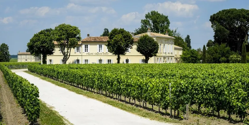 Château Franc Grâce-Dieu - Image 1