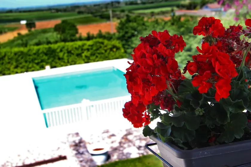 Miramurgia B&B - Image 1