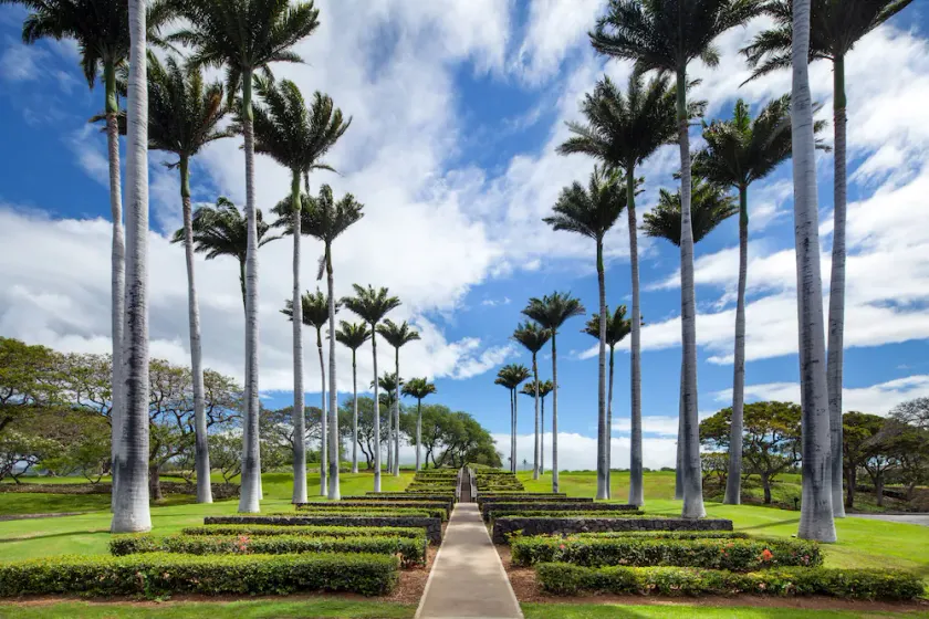 Mauna Kea Residences - Image 1