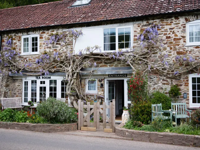 The Bark House - Image 1