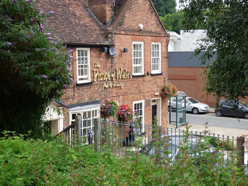 The Prince of Wales - Image 1