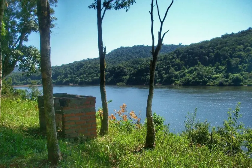 Mocona Guazu - Image 1