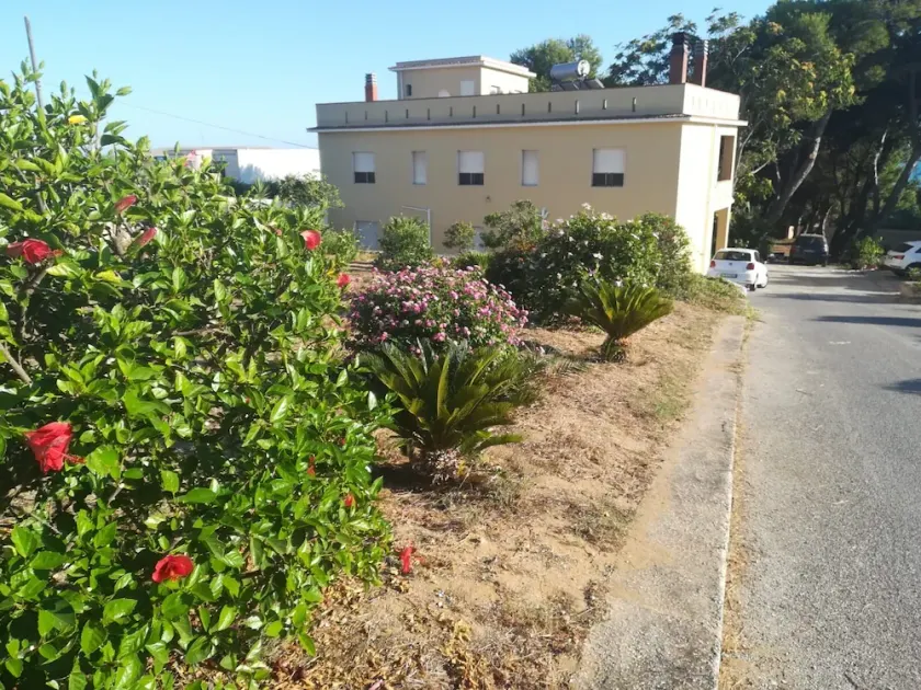 Mediterraneo - Image 1