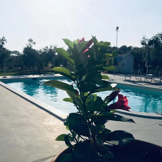 Dimora Capasi Luxury - Image 1
