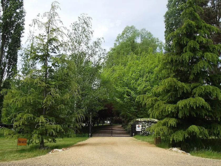Ophir Gold Bed and Breakfast - Image 1
