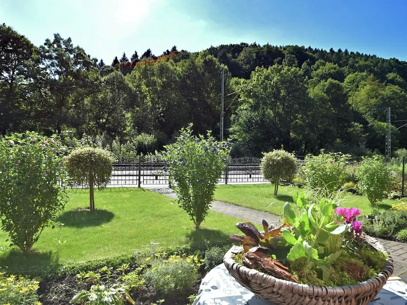 Modern and lightly-furnished holiday home in Harz with garden and terrace - Image 1