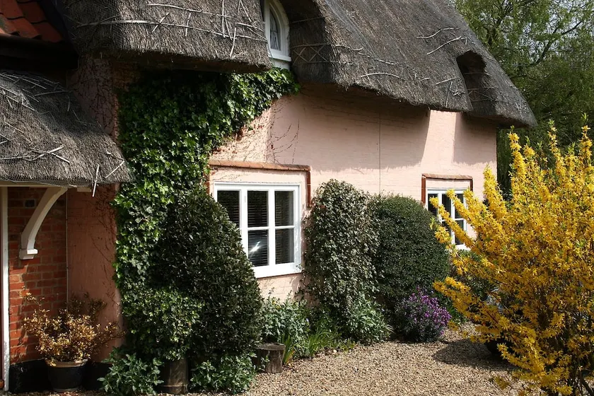 Thatched Farm - Image 1