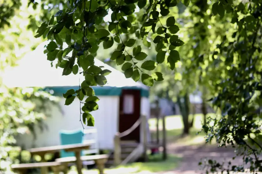 Yurtcamp Devon - Image 1