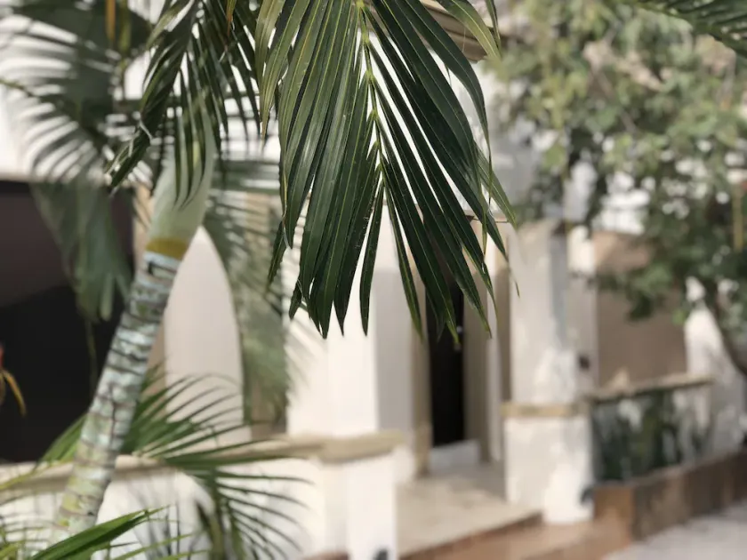 Hotel Casa 511 - Image 1