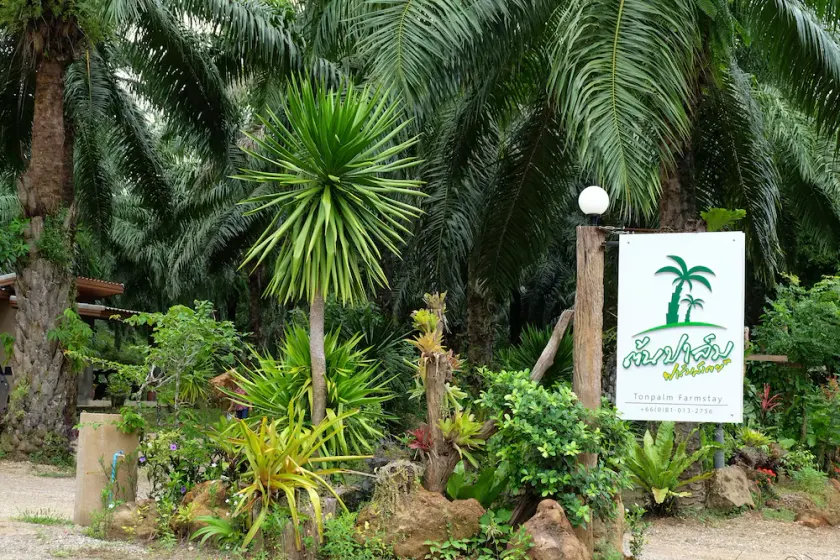Tonpalm Farmstay - Image 1