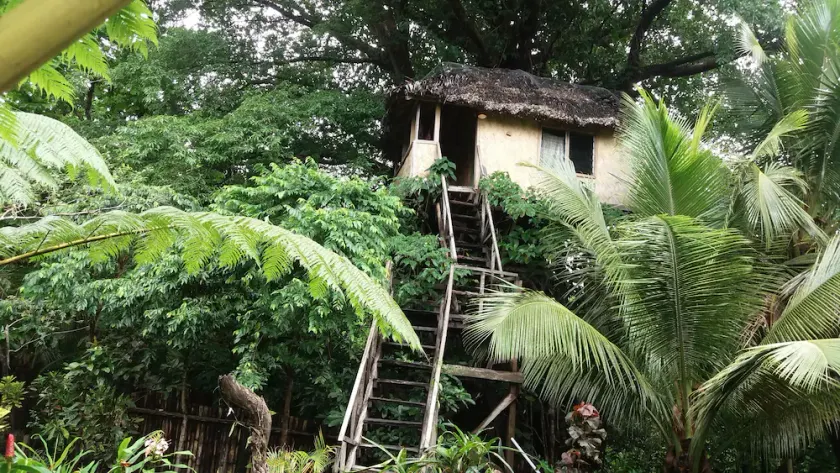 Tanna Eco Venture Bungalow - Image 1
