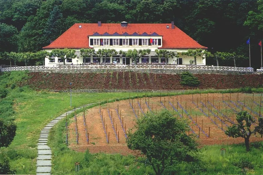 Johannisberg - Image 1