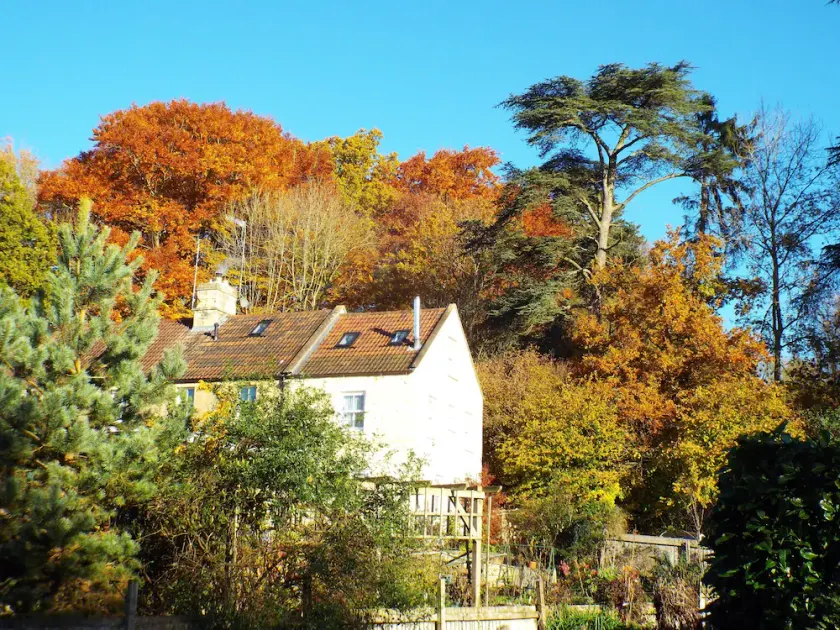Meadowbrook Cottage B&B - Image 1