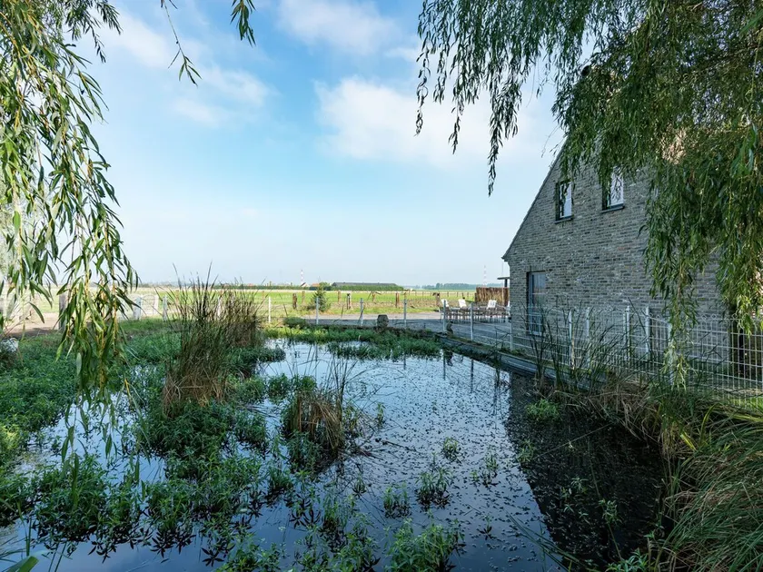 Rural Villa, 4 Kilometres From the Beach - Image 1