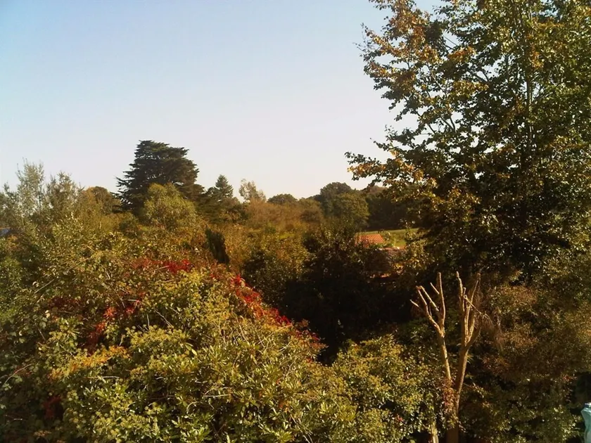 Forest Gate Lodge - Image 1