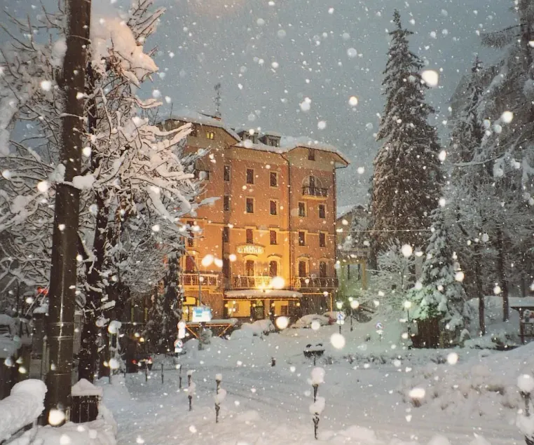 Limone - Image 1