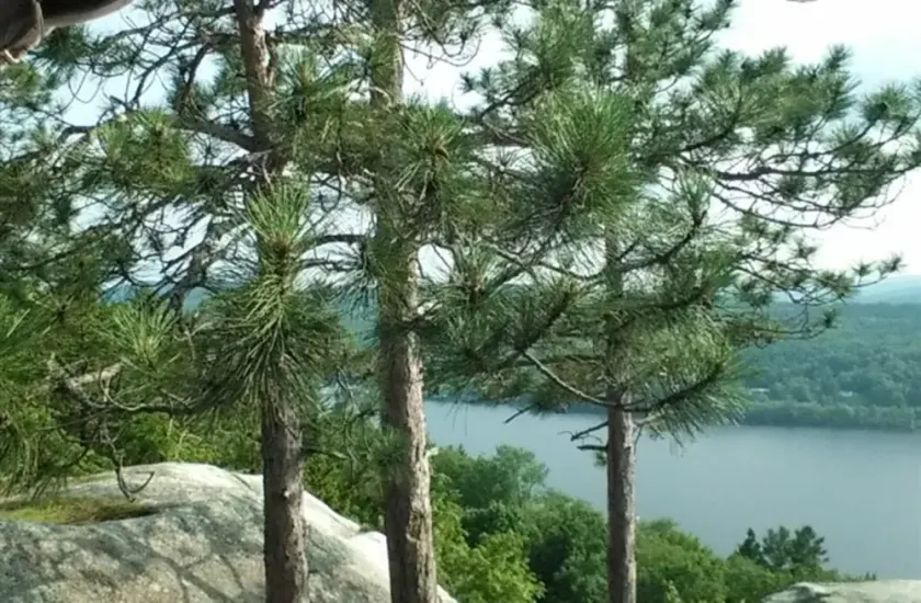 Crystal Lake Cabin - Image 1