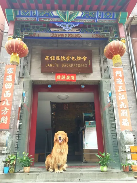 Jano's Backpackers Xi'an - Image 1