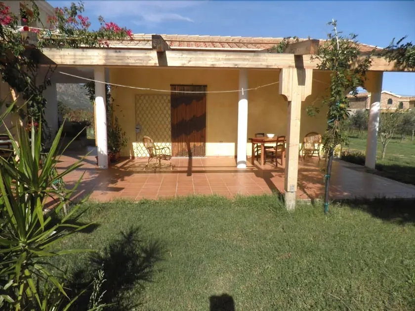 Su Concali - Image 1