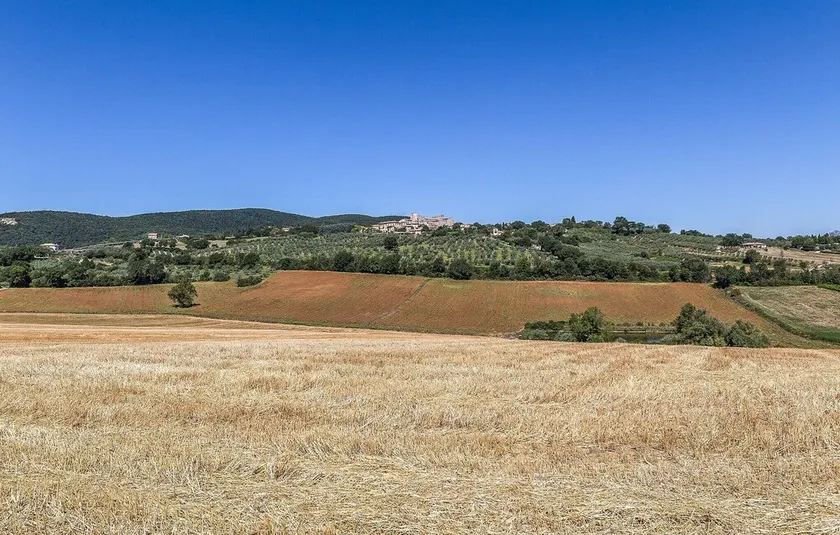 Portella - Image 1