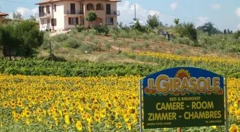 Il Girasole Bed & Breakfast - Image 1