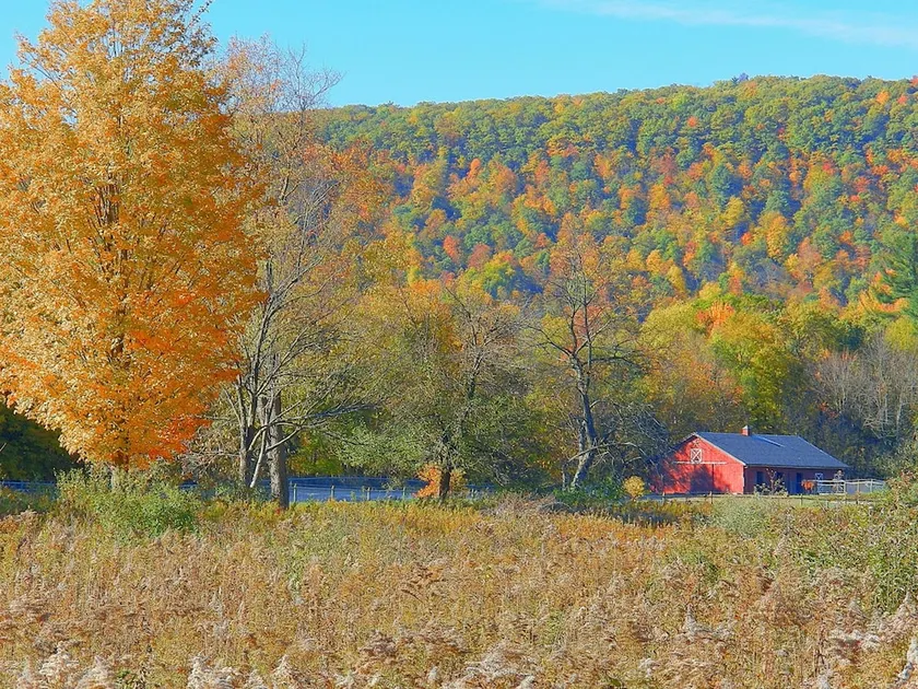 Mountain Horse Farm - Image 1