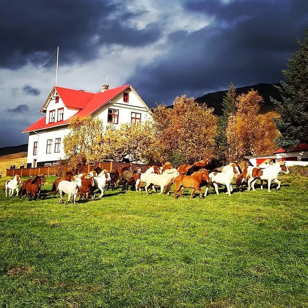 Ferðaþjónustan Geitaskarði - Image 1