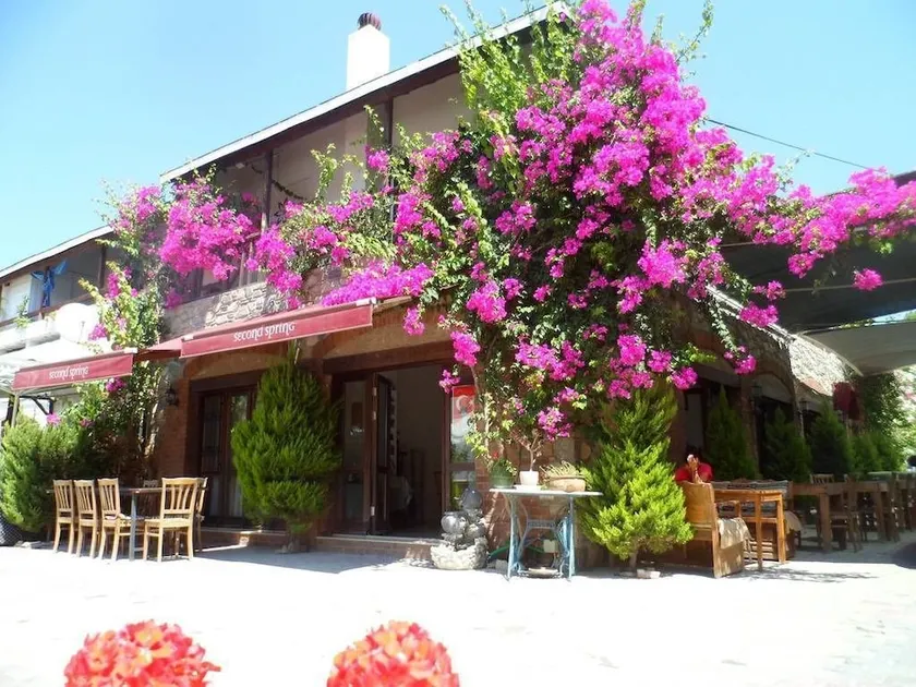 Second Spring - Image 1
