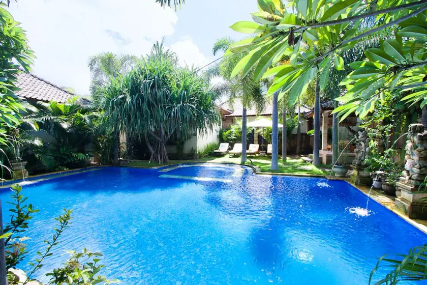 Pazzo Bali - Image 1