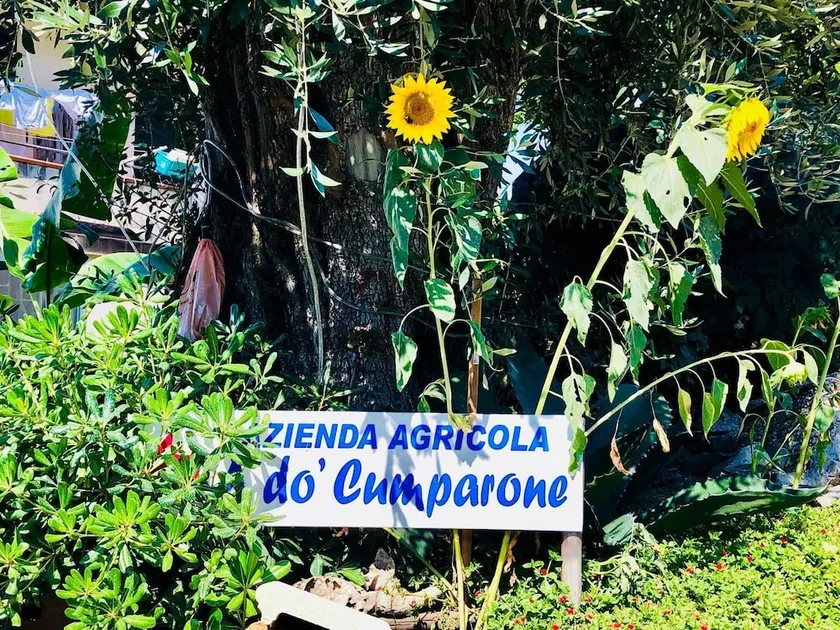 Agriturismo A Do 'Cumparone - Image 1