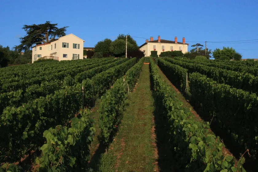 Domaine du Fontenay - Image 1