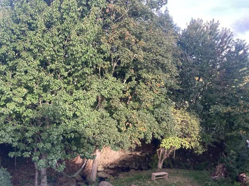 Svalh j - Image 1