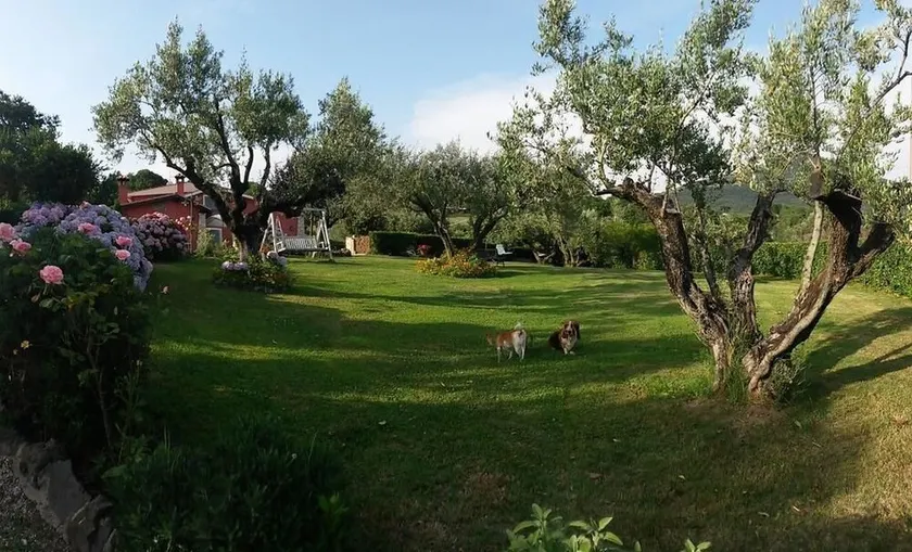 Il Poggio Degli Ulivi - Image 1