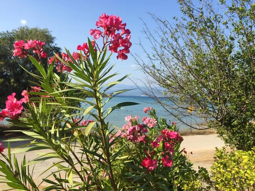 3 bedrooms appartement at Anthidona 60 m away from the beach with sea view furnished balcony and wif - Image 1