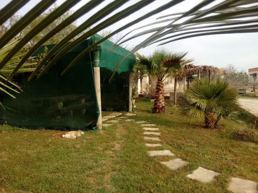 Guest House Paradiso - Image 1