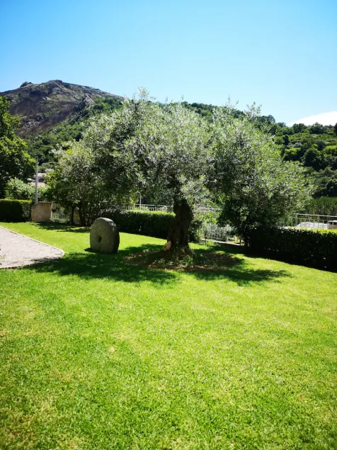 Sant'Andria Hotel - Image 1