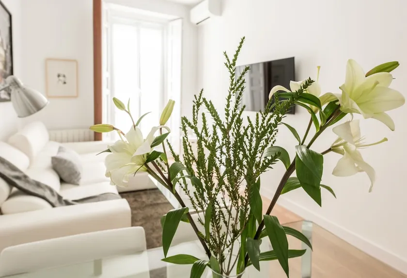 Chueca Exclusive - Madflats Collection - Image 1