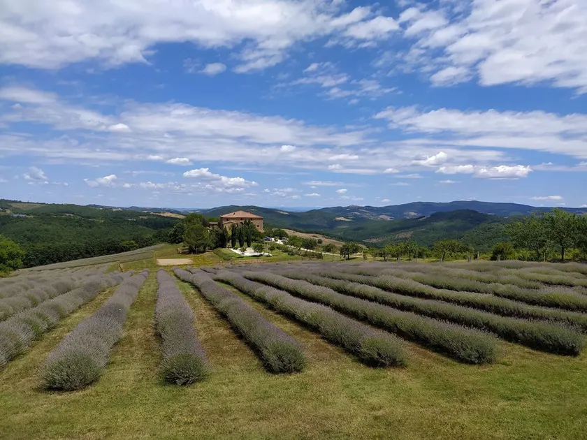 Locanda Cugnanello - Image 1